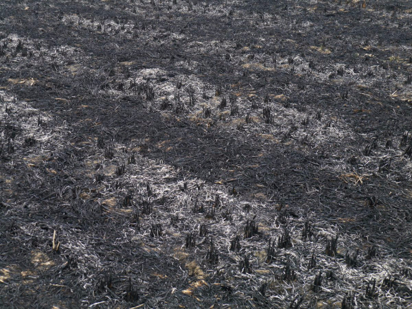 810a19d8bc3eb13558e3ba81ad1ea8d3fd1f44e7_meitu_1.jpg 810a19d8bc3eb13558e3ba81ad1ea8d3fd1f44e7_meitu_1.jpg