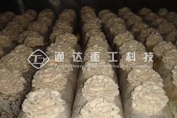 廢棄菌糠發(fā)酵做有機肥的方法和步驟,顆粒狀菌糠有機肥生產(chǎn)線有哪些配置 廢棄菌糠發(fā)酵做有機肥的方法和步驟,顆粒狀菌糠有機肥生產(chǎn)線有哪些配置