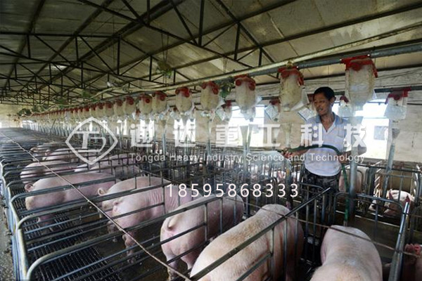 豬糞有機肥加工設備 豬糞有機肥加工設備