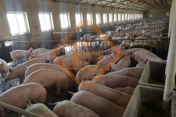 豬糞有機肥加工設備 豬糞有機肥加工設備